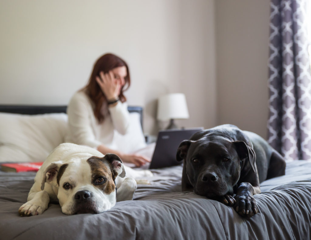 A woman sitting on a bed with two dogs, one small and one large, looking content and relaxed.